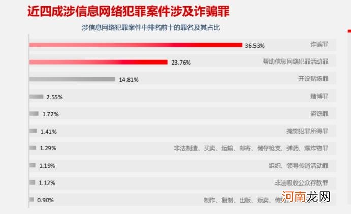 涉信息网络犯罪案件逐年上升 罪犯有年轻化苗头