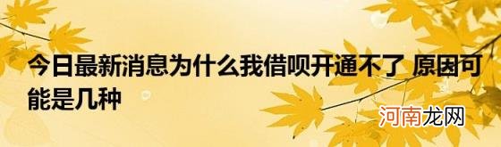 今日最新消息为什么我借呗开通不了原因可能是几种