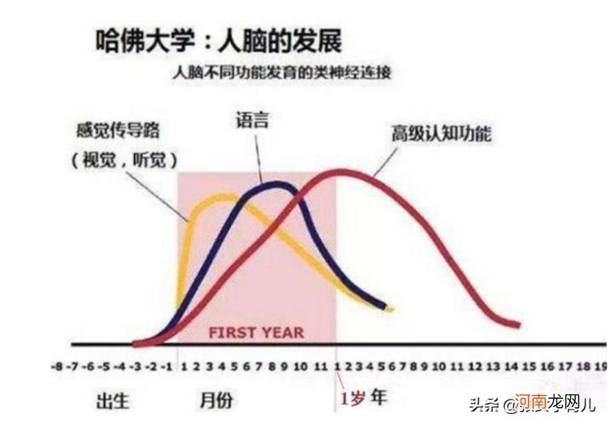 贴纸本 贴纸多少钱