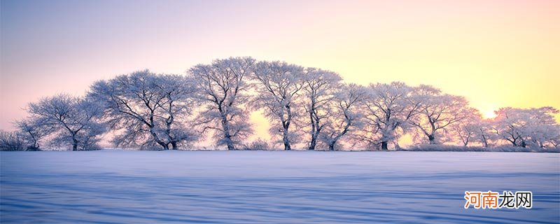 白雪的寓意和象征