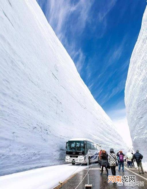 钢铁年代铃木加代 去日本富山和金泽玩怎么样？