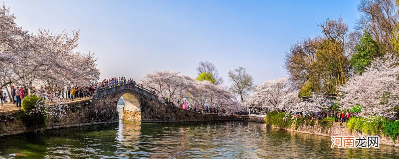 二月花朝是什么意思