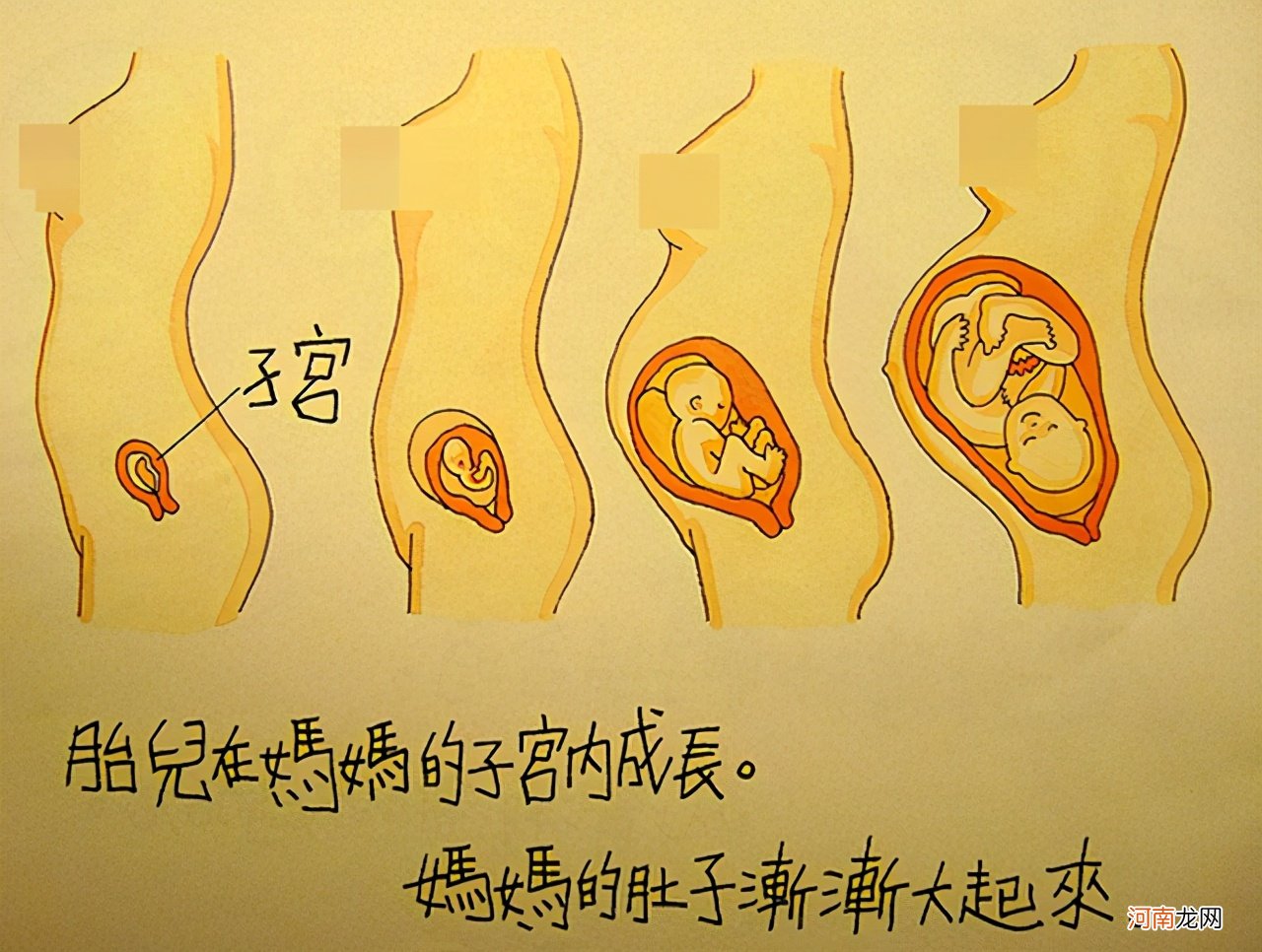 再爱孩子也别“越界”，父母趁早开始性教育，树立娃的性别意识