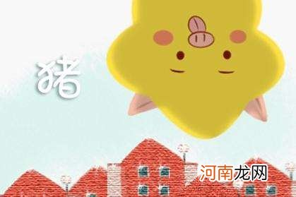 猪运势 猪运势2022年预测大全