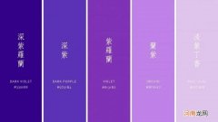 24种紫色花名字 紫色的含义和象征爱情