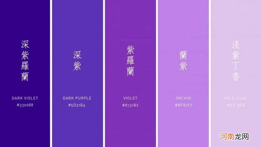 24种紫色花名字 紫色的含义和象征爱情