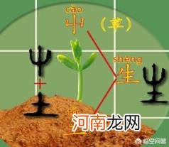 谷的笔顺 为什么？认识汉字，记不住汉字？