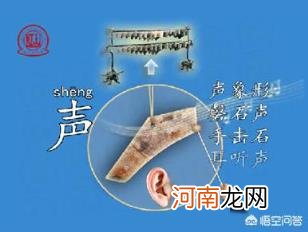 谷的笔顺 为什么？认识汉字，记不住汉字？