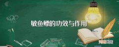 敏鱼鳔有什么功效 敏鱼鳔的功效与作用