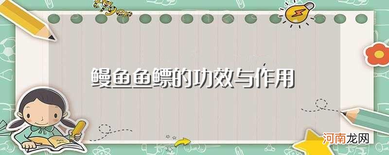 鳗鱼鱼鳔有什么功效 鳗鱼鱼鳔的功效与作用