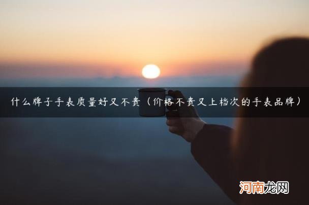 价格不贵又上档次的手表品牌 什么牌子手表质量好又不贵