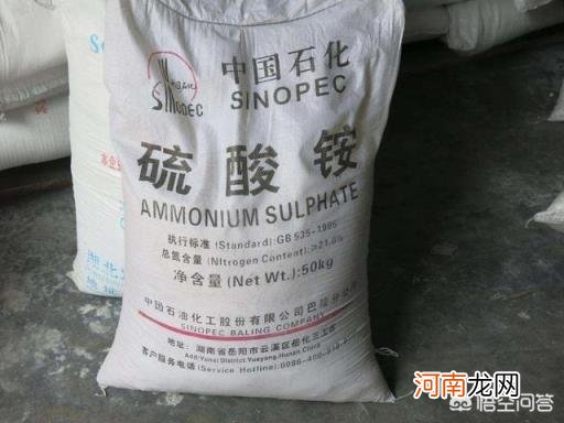 硫酸铵和尿素哪种好 尿素和硫酸铵哪个做玉米追肥好？