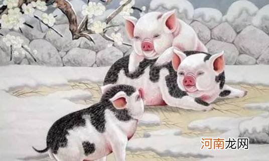 天元做财，无与伦比：生肖猪的后半辈子，尤其是83年的你家有吗？