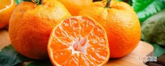 柑橘是橙子还是橘子