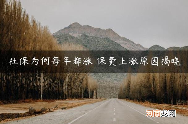 保费上涨原因揭晓 社保为何每年都涨