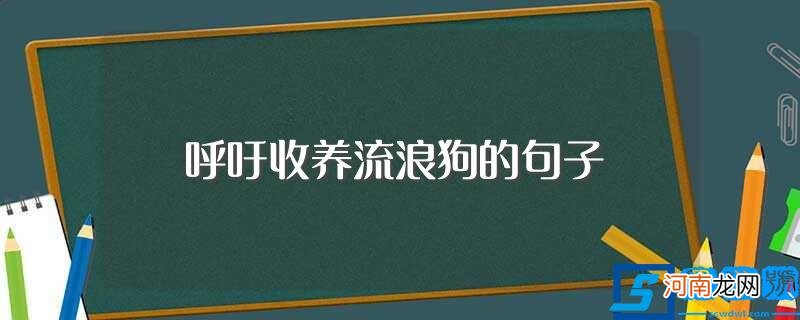 有关流浪狗的句子 呼吁收养流浪狗的句子