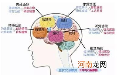 曾经的倒数第一，却上了北大，760分状元：逻辑思维能力让我逆袭