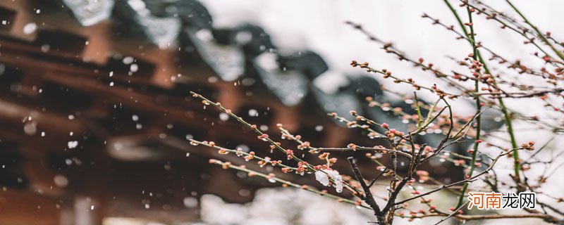 南方的雪和北方的雪各有什么特点