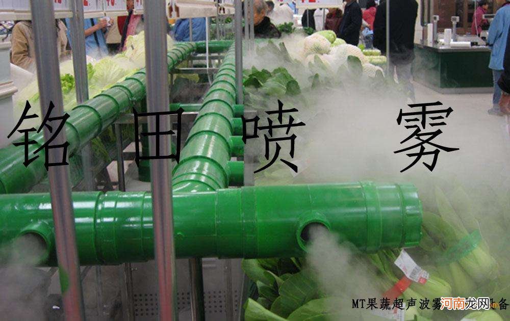 喷雾器和加湿器的区别 喷雾跟加湿区别