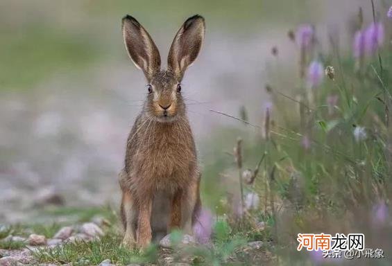 人生就是在于折腾 人生就是折腾