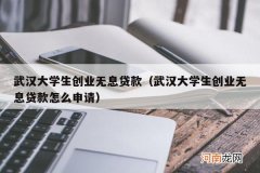 武汉大学生创业无息贷款怎么申请 武汉大学生创业无息贷款