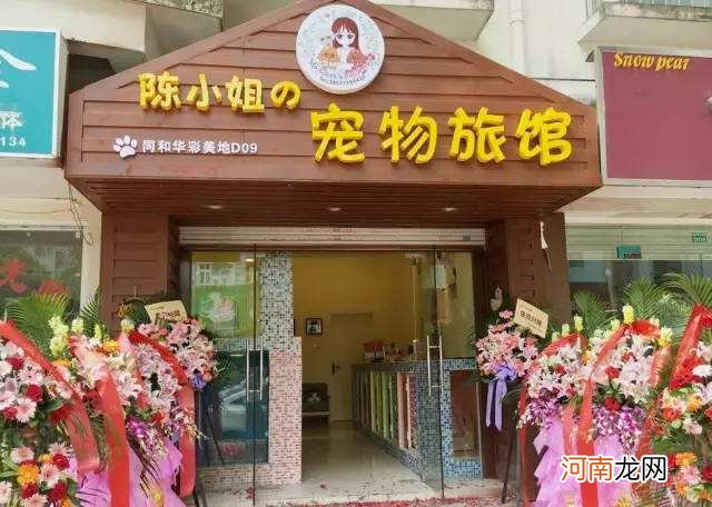 创业开宠物店 创业开宠物店计划书产品与服务