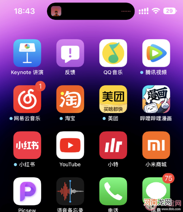 iPhone14|iPhone14 Pro截屏带岛是什么原因 iPhone14 Pro截屏带岛怎么办