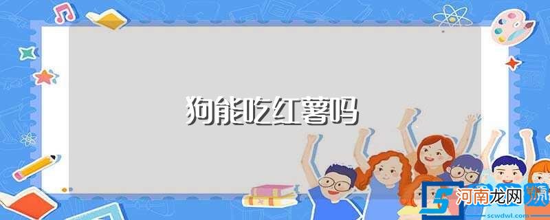 自家的狗可以吃红薯吗 狗能吃红薯吗