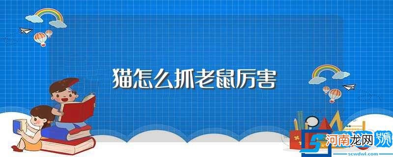 猫为什么会捉老鼠 猫怎么抓老鼠厉害