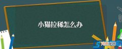 解决方法介绍 小猫拉稀怎么办