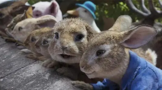十只兔子恐怖真相 10只兔子背后的故事