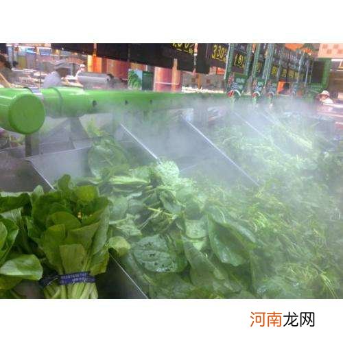 喷雾用于蔬菜的作用 喷雾加湿后的蔬菜