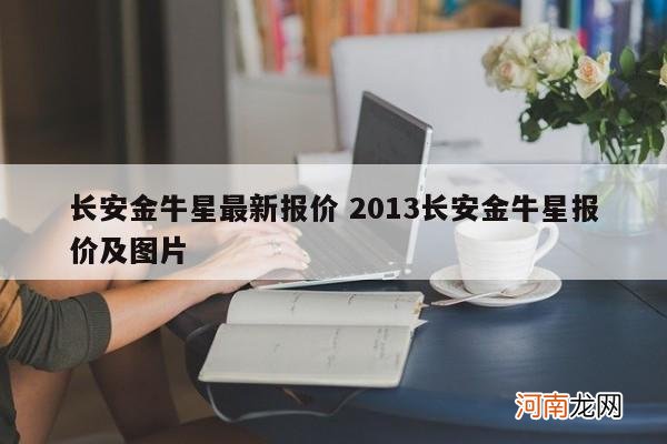 长安金牛星最新报价 2013长安金牛星报价及图片