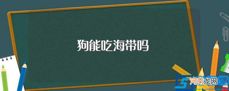 狗可以吃海带吗 狗能吃海带吗