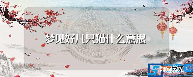 梦见好几只猫意思是什么 梦见好几只猫什么意思