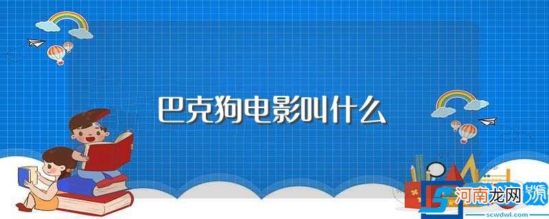 巴克狗电影传递了什么内容 巴克狗电影叫什么