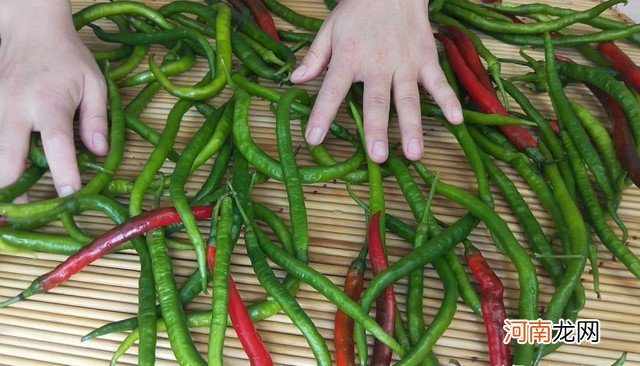 腌辣椒的家常做法分享 辣椒的腌制方法