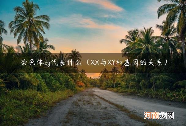 XX与XY和基因的关系 染色体xy代表什么