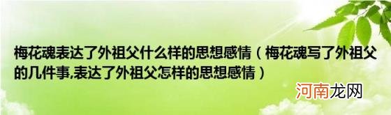 梅花魂表达了外祖父什么样的思想感情（梅花魂写了外祖父的几件事 表达了外祖父怎样的思想感情）