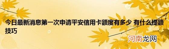 今日最新消息第一次申请平安信用卡额度有多少有什么提额技巧