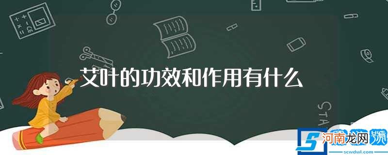 艾叶的功效作用介绍 艾叶的功效和作用有什么