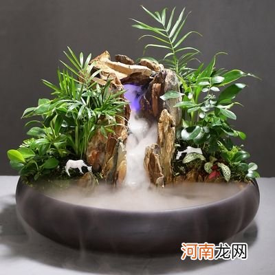 植物喷雾加湿器好吗 植物喷雾加湿