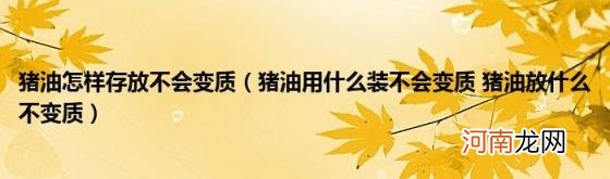 猪油用什么装不会变质猪油放什么不变质 猪油怎样存放不会变质