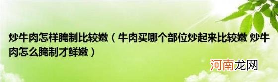 牛肉买哪个部位炒起来比较嫩炒牛肉怎么腌制才鲜嫩 炒牛肉怎样腌制比较嫩