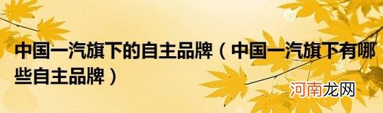 中国一汽旗下有哪些自主品牌 中国一汽旗下的自主品牌