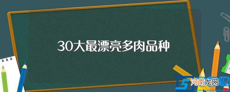 你认识几种 30大最漂亮多肉品种