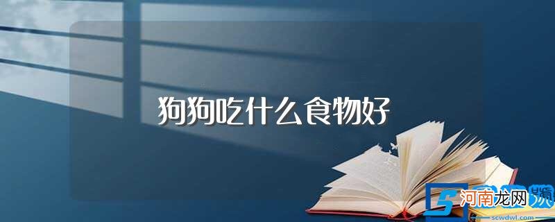 狗狗吃啥食物比较好 狗狗吃什么食物好