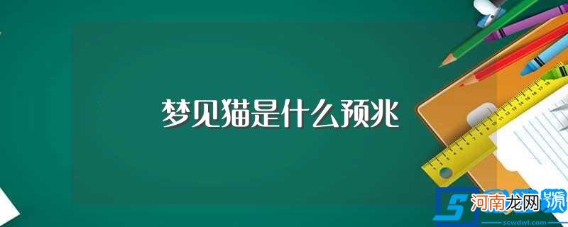 梦见猫的预兆介绍 梦见猫是什么预兆