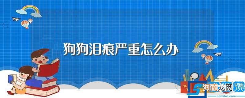 有什么改善的办法 狗狗泪痕严重怎么办