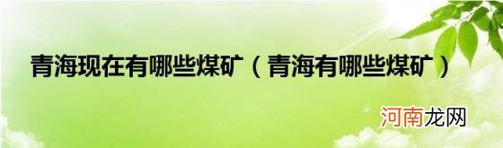 青海有哪些煤矿 青海现在有哪些煤矿